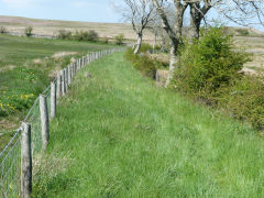 
Tyla tramway to the quarries from Pwlldu, May 2012